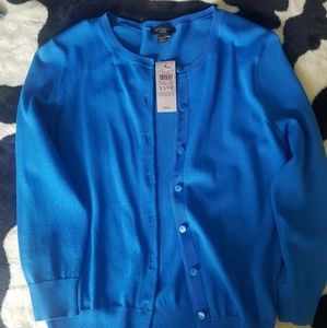 New Ann Taylor Blue Cardigan Sweater